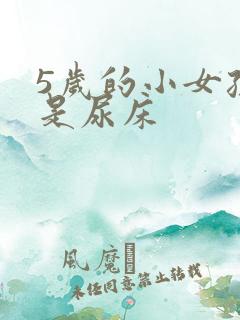 5岁的小女孩老是尿床