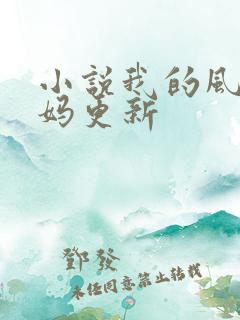 小说我的风流妈妈更新