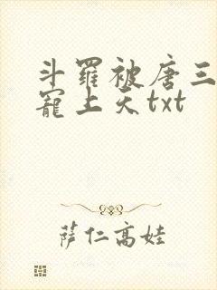 斗罗被唐三哥哥宠上天txt