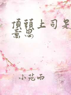 顶头上司是什么意思