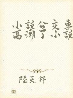 小说公交车被上高潮了小说