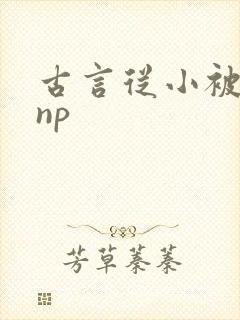 古言从小被调教np