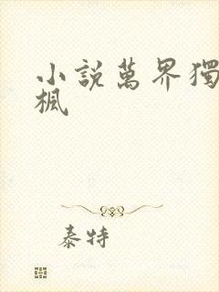 小说万界独尊林枫