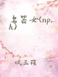 名器女(np,h)