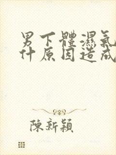 男下体湿气重是什原因造成的