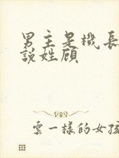 男主是机长的小说姓顾