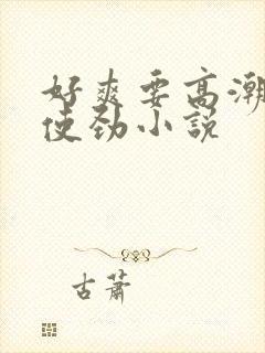 好爽要高潮了快使劲小说