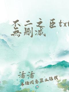 不二之臣txt无删减