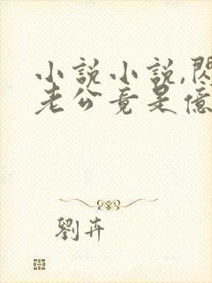 小说小说,闪婚老公竟是亿万总裁