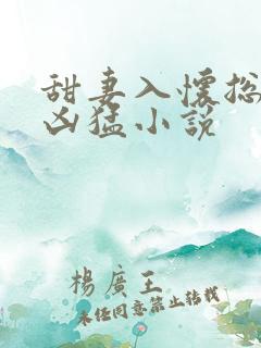 甜妻入怀总裁太凶猛小说