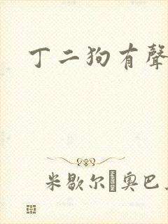 丁二狗有声小说