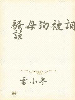 骚母狗被调教小说