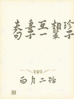 夫妻互相珍惜的句子一辈子