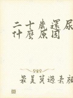 二十岁还尿床是什么原因