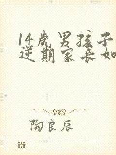 14岁男孩子叛逆期家长如何管教