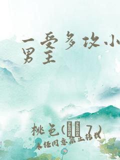一受多攻小说双男主