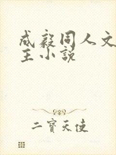 成毅同人文双男主小说