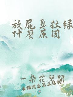 放屁臭拉绿屎是什么原因