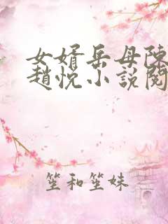 女婿岳母陈超,赵悦小说阅读