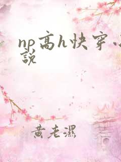 np高h快穿小说