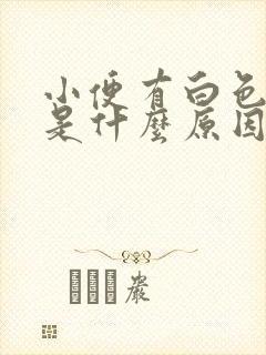 小便有白色泡沫是什么原因