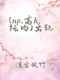 (np,高h,纯肉)出轨