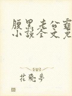 腹黑老公霸道宠小说全文免费阅读