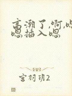 高潮了,啊,嗯嗯插入嗯