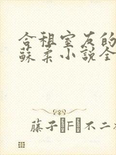 合租室友的女友苏柔小说全文阅读