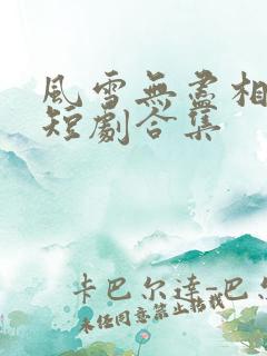 风雪无尽相思情短剧合集