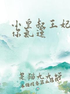 小皇叔王妃又薅你气运