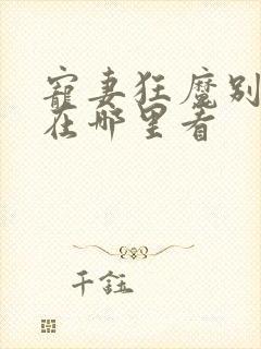 宠妻狂魔别太坏在哪里看