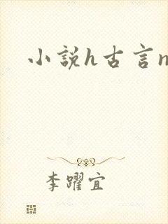 小说h古言np