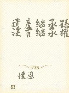 遗产继承孙子有没有继承权