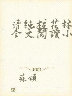 清纯校花林思琪全文阅读小说