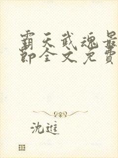 霸天武魂最新章节全文免费阅读