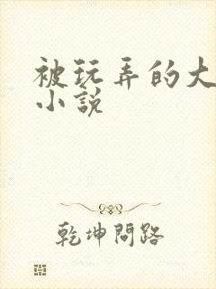 被玩弄的大小姐小说