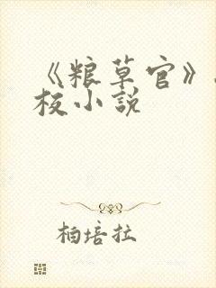 《粮草官》骁骑校小说