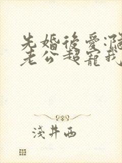 先婚后爱:隐婚老公超宠我