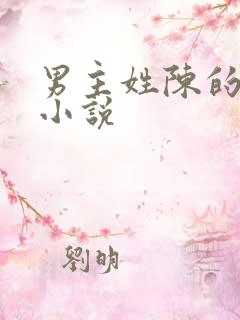 男主姓陈的现代小说