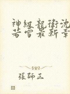 神级龙卫沈浪苏若雪最新章节