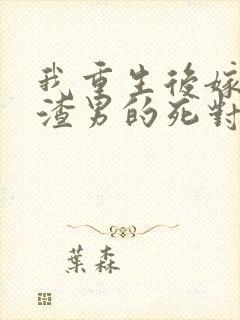 我重生后嫁给了渣男的死对头