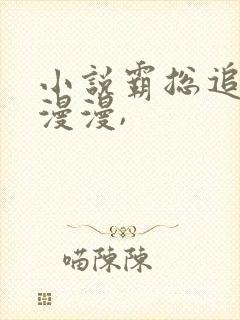 小说霸总追妻路漫漫,