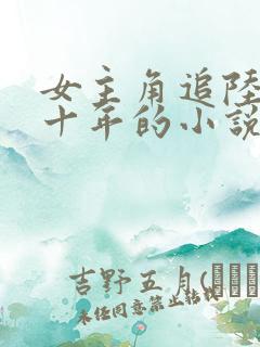 女主角追陆律师十年的小说