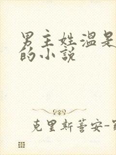 男主姓温是总裁的小说