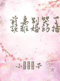 前妻别哭了是你说离婚的播放