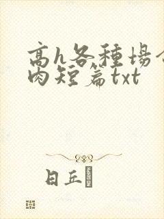 高h各种场合全肉短篇txt
