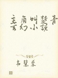 主角叫楚青天的玄幻小说