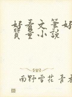 好看文笔好的高质量小说