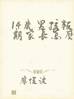 14岁男孩叛逆期家长怎么办